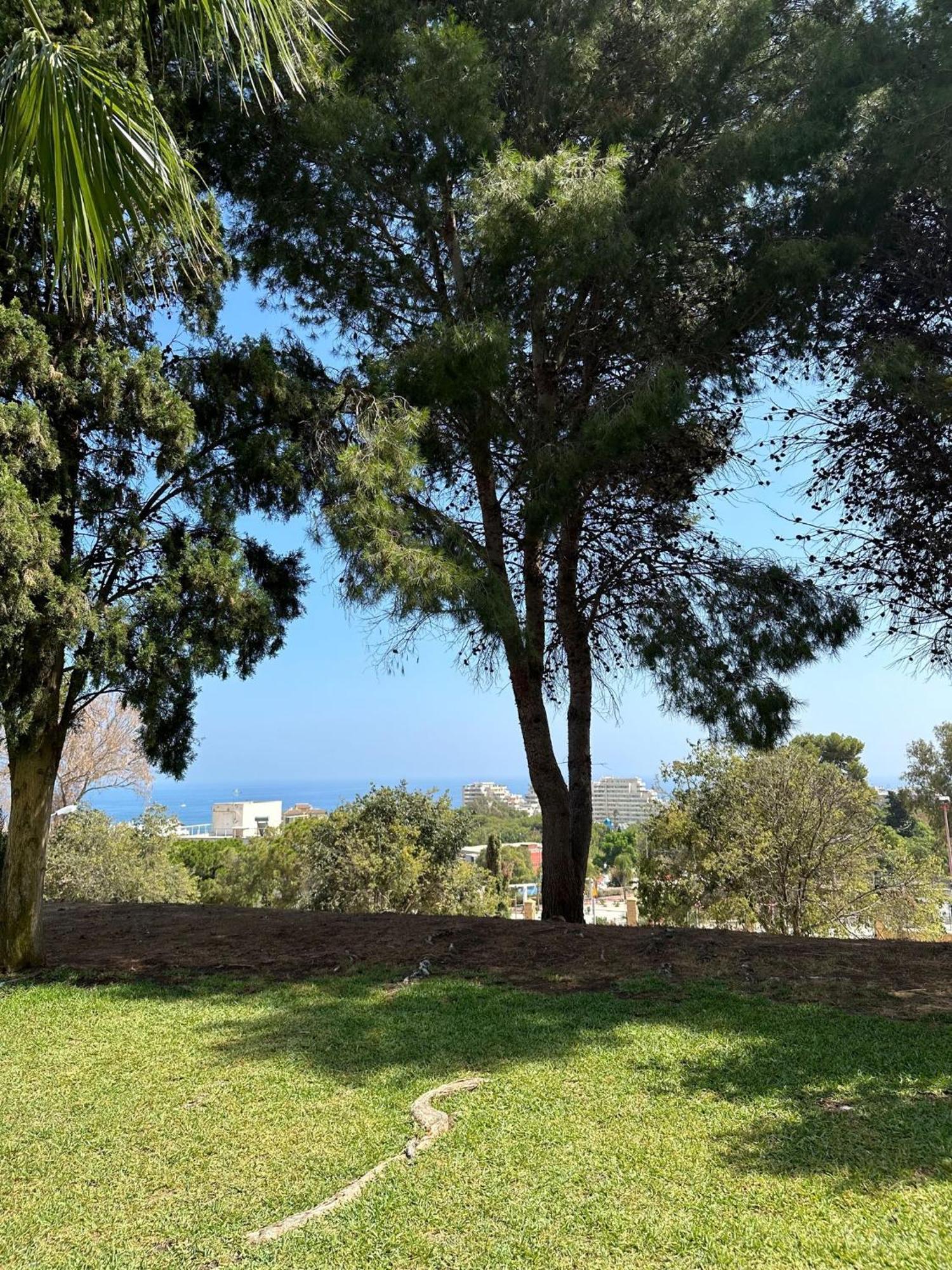 Appartamento Benalmadena Gamonal Málaga Esterno foto