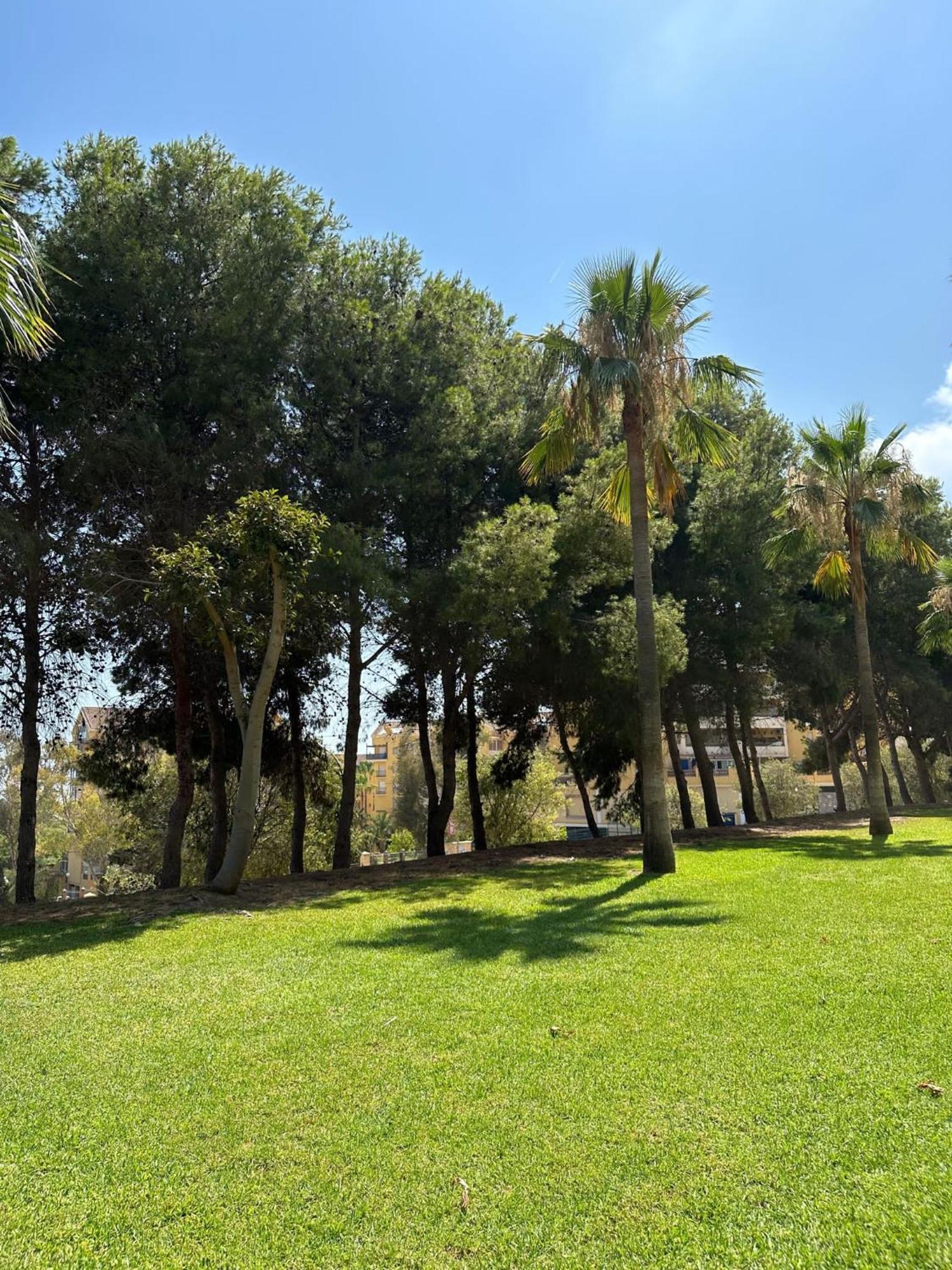 Appartamento Benalmadena Gamonal Málaga Esterno foto